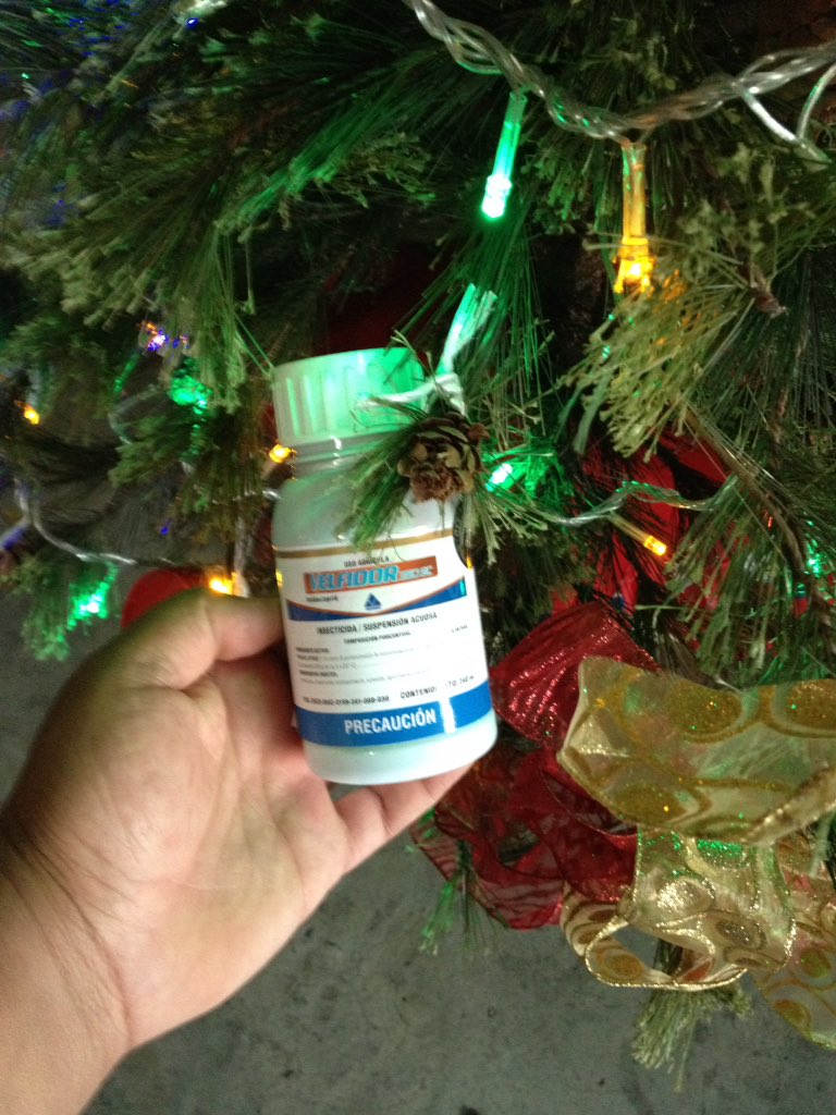 CarlosCars1234's tweet photo. Feliz Navidad les deseamos y que mejor que nuestro árbol adornado por lo mejor @Velsimex @ALTIARAMX https://t.co/3bIgzrdEwx