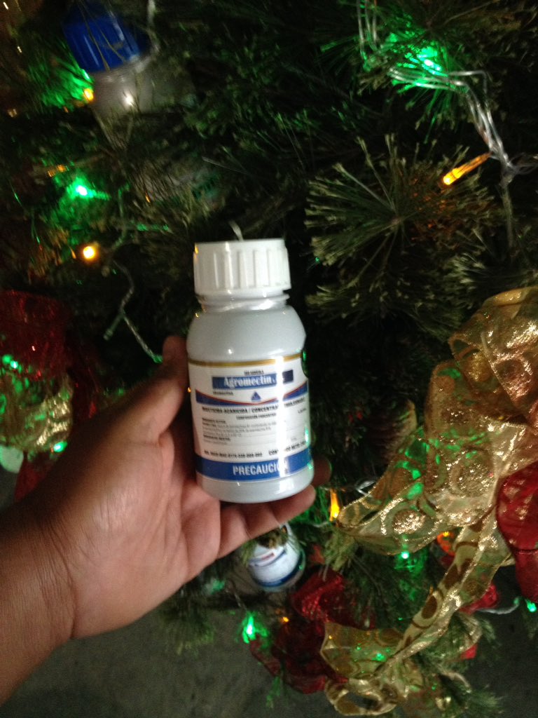 CarlosCars1234's tweet photo. Feliz Navidad les deseamos y que mejor que nuestro árbol adornado por lo mejor @Velsimex @ALTIARAMX https://t.co/3bIgzrdEwx
