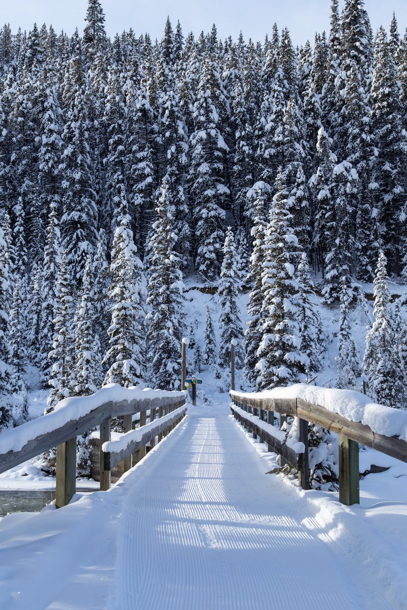 Banff National Park, Parks Canada tweet media