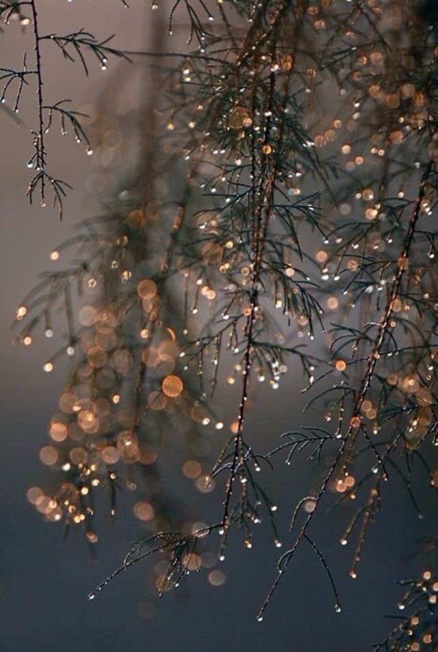 All is calm and all is bright. #limitlessluxury