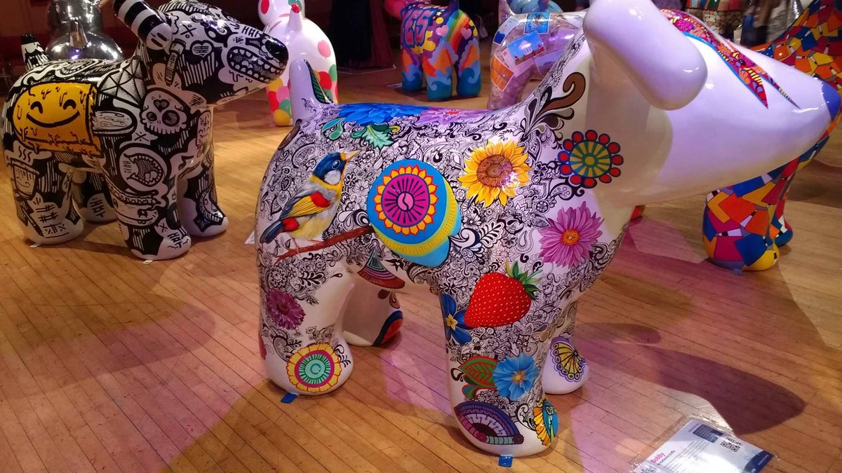 squoog's tweet photo. Beautiful Bobby. #bobbyforbalfour #snowdogsbythesea https://t.co/Usl0y5bTOz