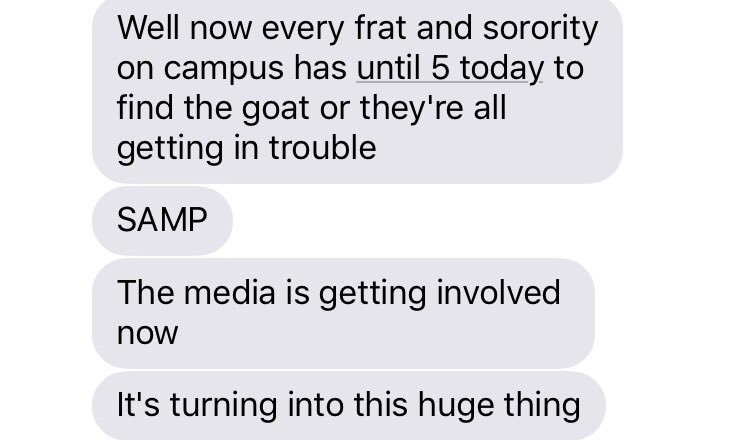 Mackenzie Bates tweet media