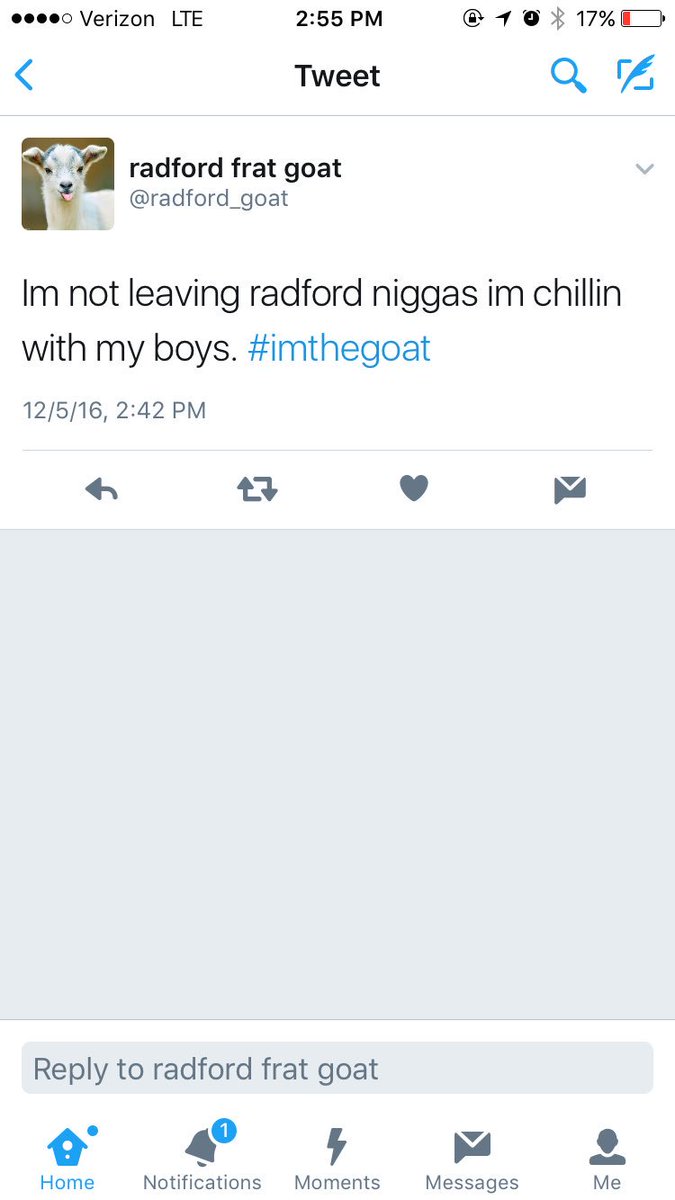Mackenzie Bates tweet media