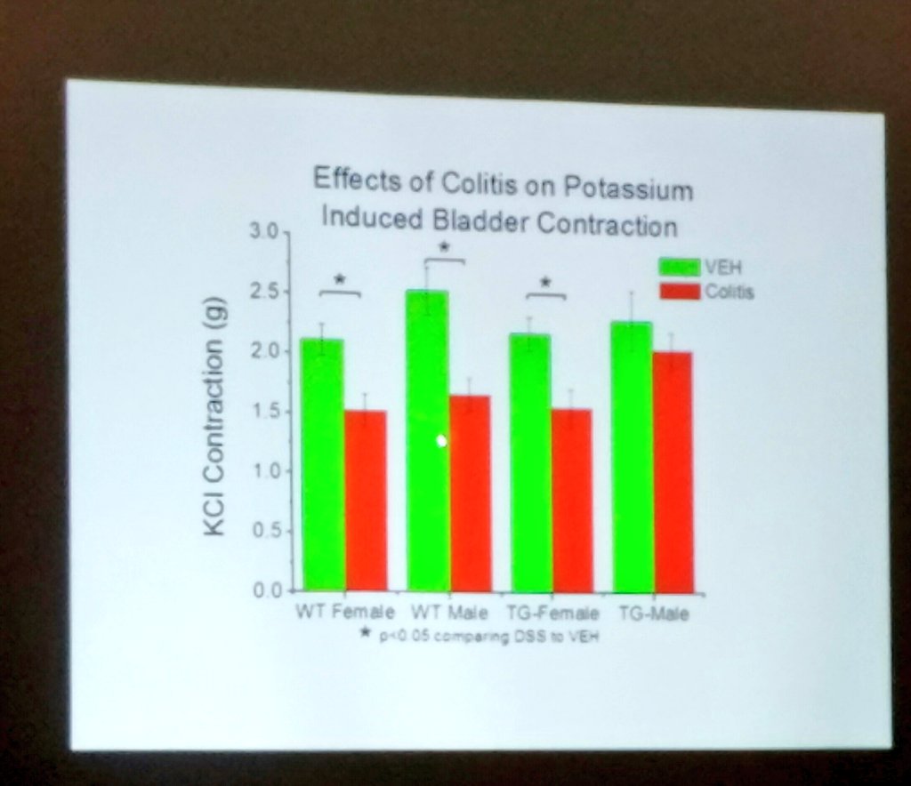 Hannan_Lab's tweet photo. Overactivation of neuronal NFkB protects male but not female mouse bladder contraction in colitis by Dr. Braverman @Soc4PelvicRes #SPR2016 https://t.co/8NCMouHsBm