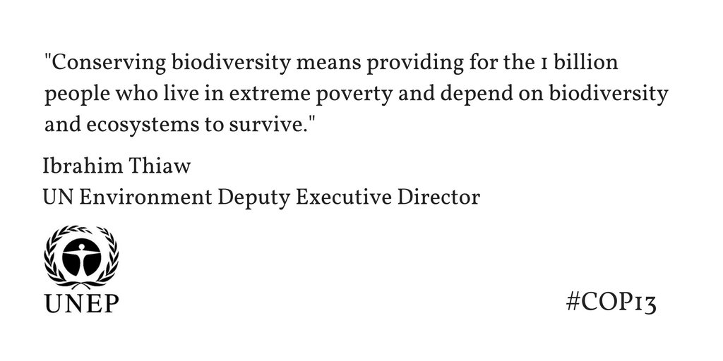 UN Environment Programme (@unep) on Twitter photo By conserving biodiversity, we are working to protect the livelihoods that depend on healthy ecosystems. - <a href="/ibrahimthiaw/">Ibrahim Thiaw</a> #COP13 By conserving biodiversity, we are working to protect the livelihoods that depend on healthy ecosystems. - <a href="/ibrahimthiaw/">Ibrahim Thiaw</a> #COP13