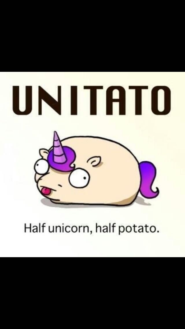 Frauellatwitch's tweet photo. Im a fuckin' #unitato ! #truestory #funny #just4fun #unicorn #potato #fusion @ https://t.co/HKQGIEqbvZ