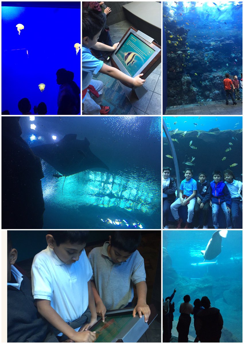 clinsmith1's tweet photo. We had a ball!!! Great experience!! @APCALDWELL_ @docdrewlovett @KateNailsAPS https://t.co/PcfSlDPw10