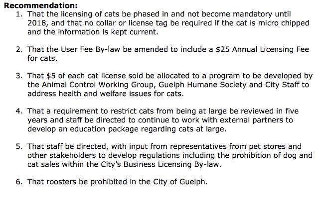 Animal Control Bylaw Service Review recommendations 1-6. https://t.co/bMff5d9mUL