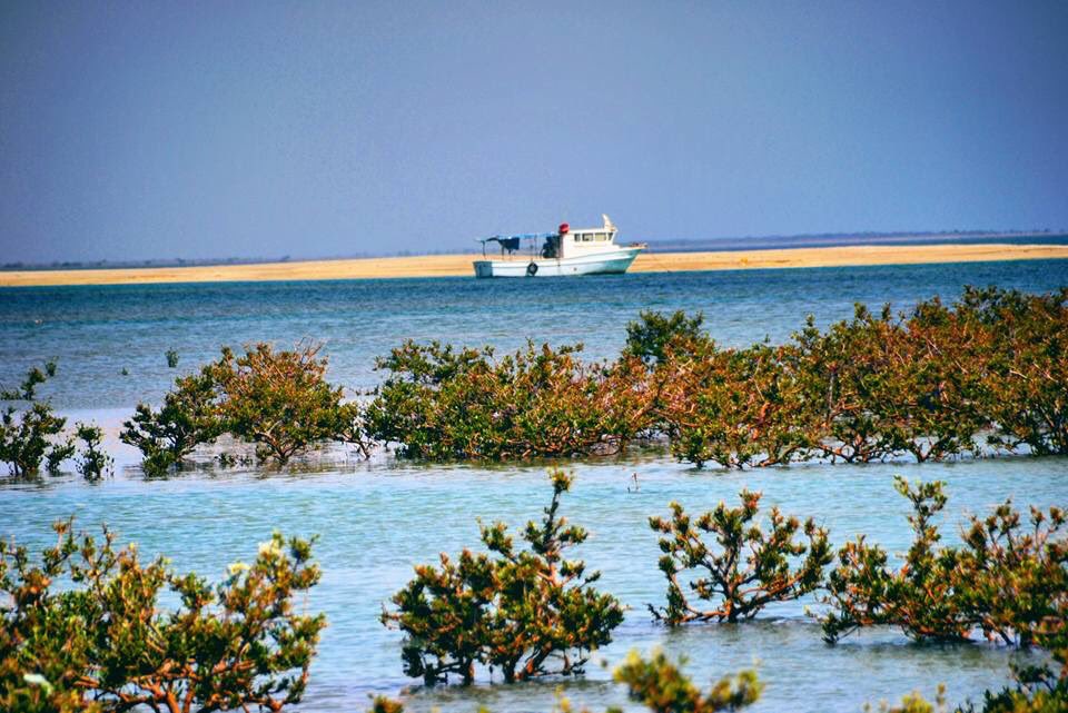ahmedvision1's tweet photo. Ths place can be 1 of th top tourists destination, Somalis need 2 invest tourism industry #Sacadudiin #Zeila #Somaliland foto credit #Bursad https://t.co/ogs8lEv369