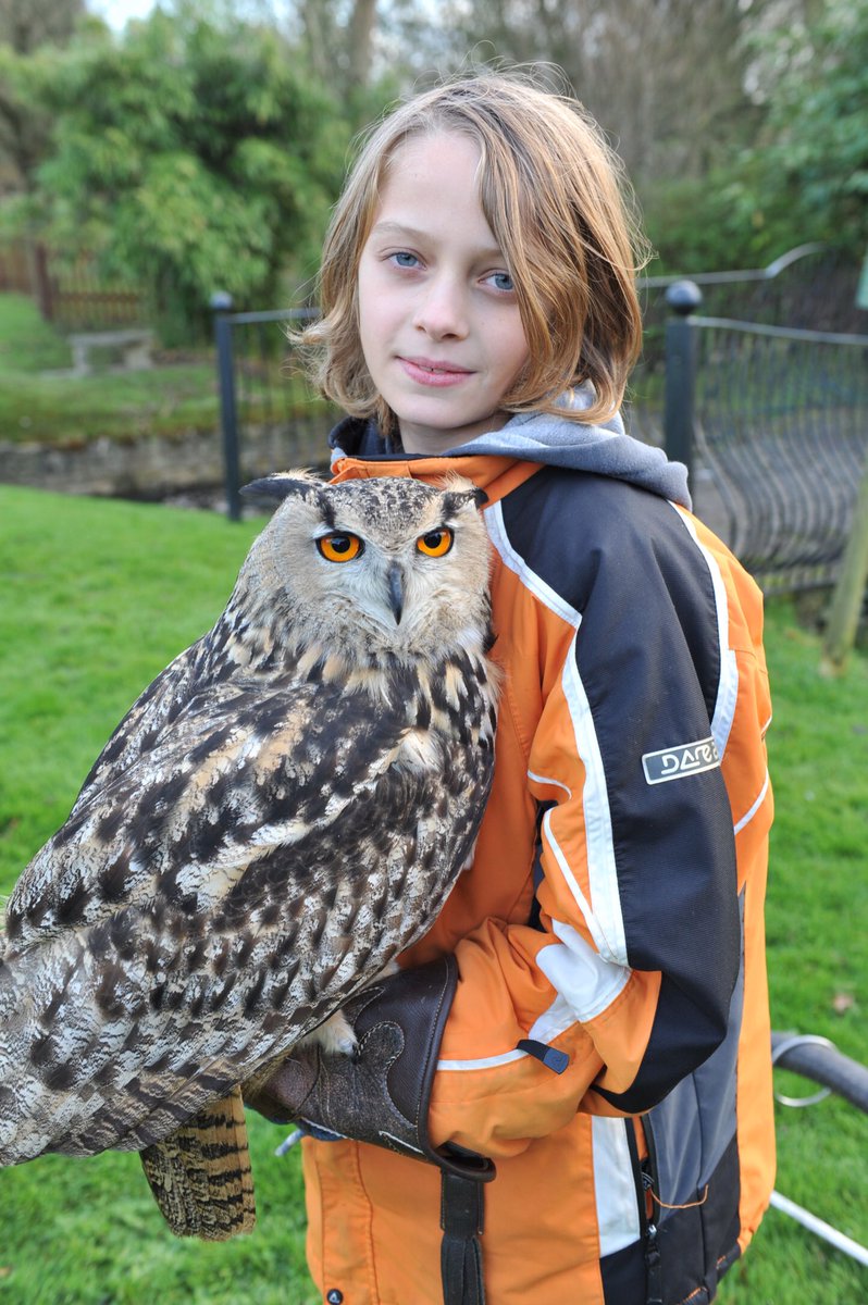 PRFalconry's tweet photo. When you have an #eagleowl with eyes that match your coat! @colemanortea rooms, Bruton. We come here quiet often.. #dayexperiences https://t.co/RNkSURZuxp