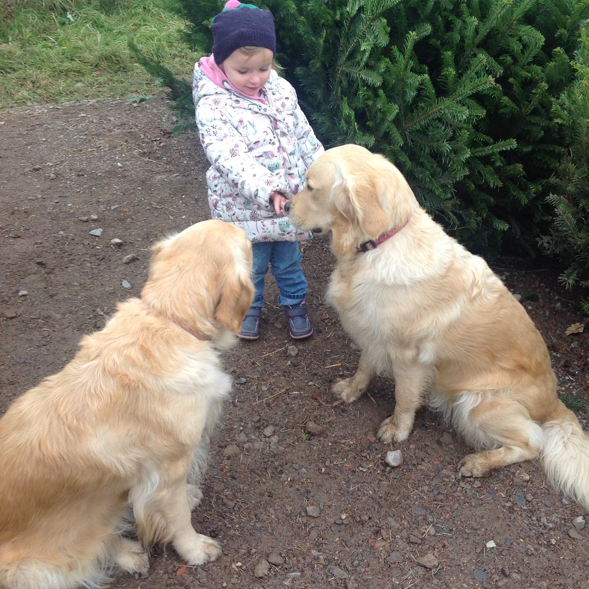 ShopDearDoris's tweet image. Evie loved meeting these two beauties @ty_cerrig #happydays