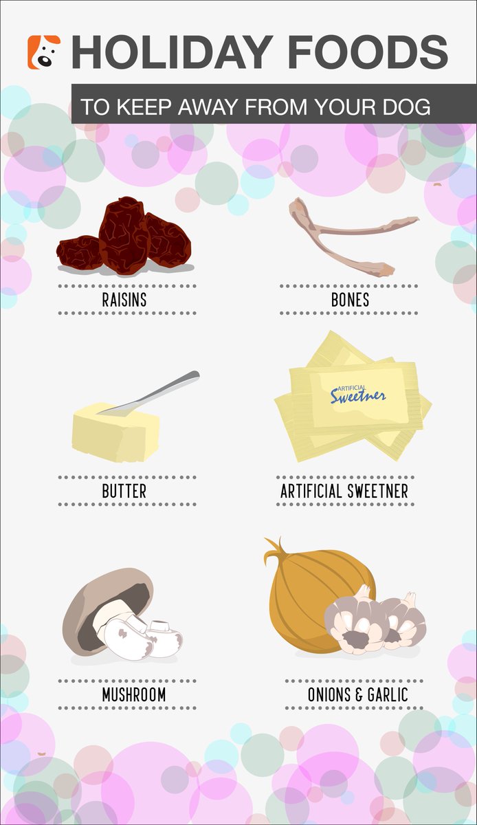 Boneocanine's tweet photo. Tis the season to keep these foods out of your pup's reach! #dogs #holidays #dogsoftwitter https://t.co/YjIMtX1Xk4