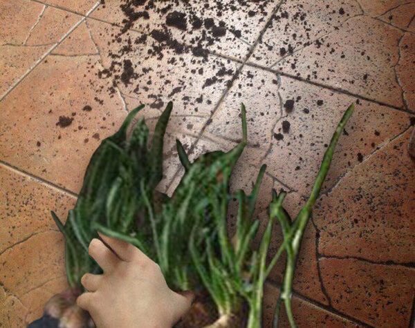 <a href="/Maxiedome/">maxie</a> I SHOULDVE KNOWN