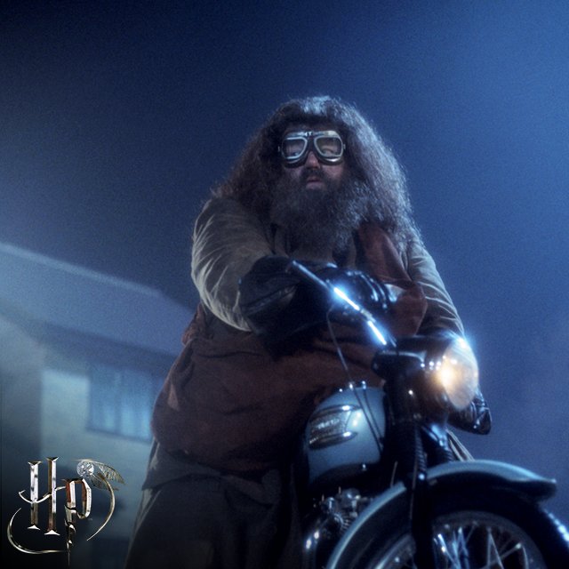 harrypotter's tweet photo. Happy birthday to our friend, Rubeus #Hagrid! https://t.co/vF5BCK1T2y