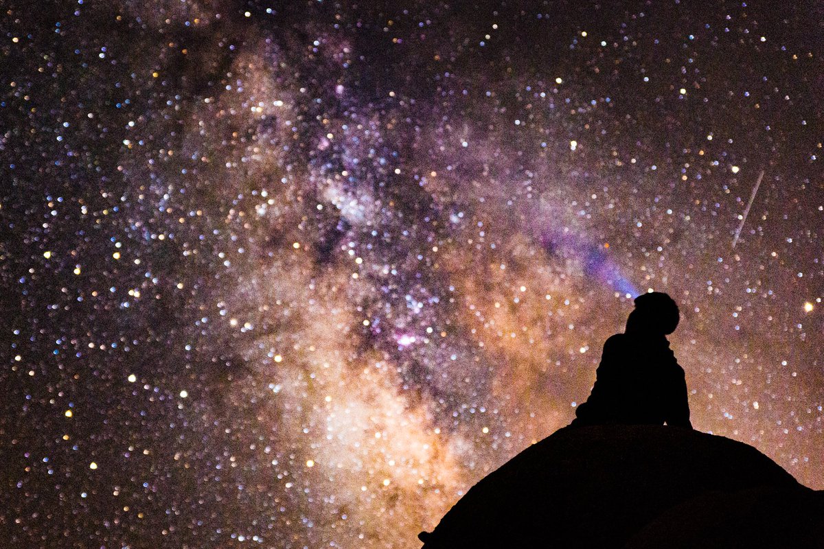 FormulaArts's tweet photo. Far, far away. ⭐️
📸: Steve Park • #formulaarts #galaxy #joshuatree #silhouette #stars https://t.co/ks8nzCqrYu
