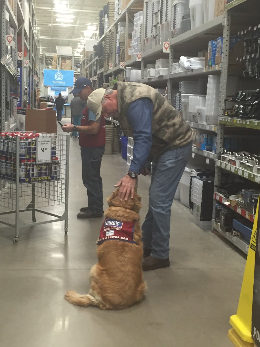 MaddySkye's tweet photo. Texas Lowe's hires retired vet and his service dog, now an internet 'celebrity'
https://t.co/BJT7EVi6Zv @mySA https://t.co/hM3LT1tLtD