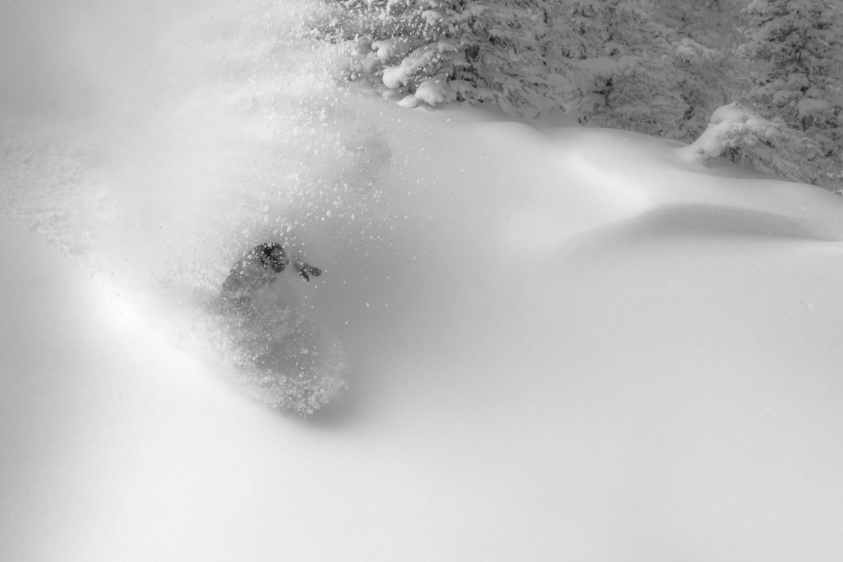 Snowbird's tweet photo. Being between storms can seem like a dark time, it's not. P: #MattCrawley #snowbird #punny https://t.co/XFPT27pMyw