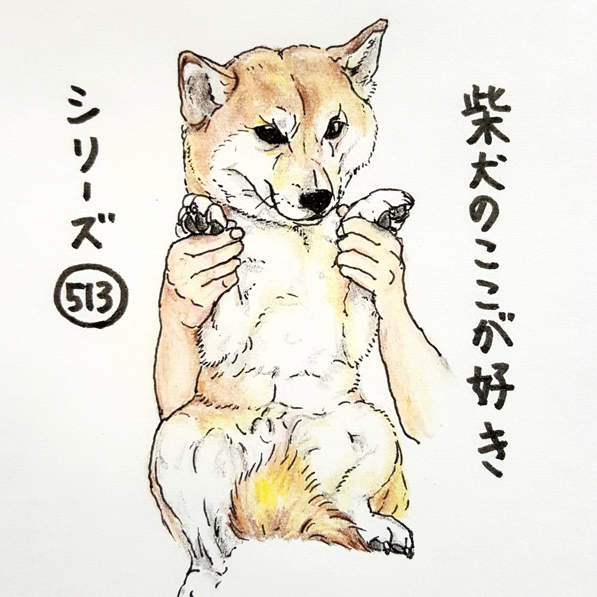 ここ柴 大事なとこは自分で隠すとこ しっぽの使い方講座ひらきましょうか お願いします あ 先生 私 しっぽありませんでした 柴犬のここが好き ここ柴 イラスト しっぽの使い方講座 柴犬