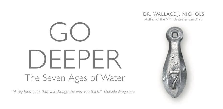 The Blue Mind Movement tweet media