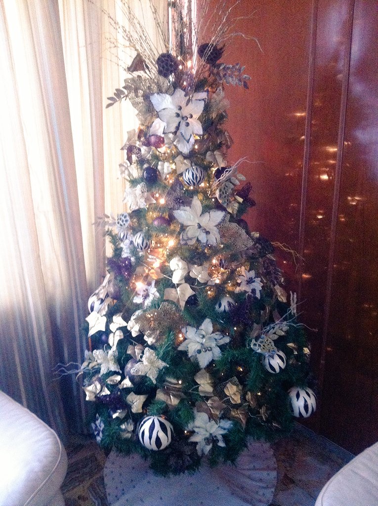 CarlittoSoto's tweet photo. Recién terminado ... Hermoso mi árbol  #VentaneaTuArbol https://t.co/560f6kylRe