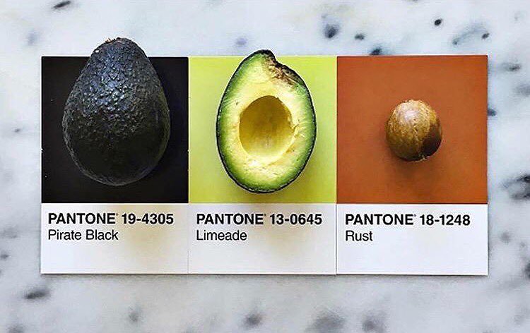 ZoomPainting's tweet photo. Avocado palette @thehumaneleague https://t.co/Bt2fnwrYCH https://t.co/Vl5LYRPjFv