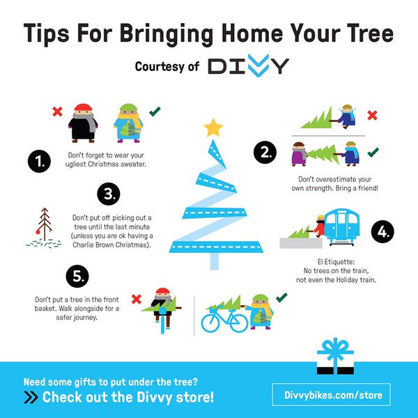 DivvyBikes's tweet photo. Living that #carfree lifestyle? You too, can get the perfect tree home from your local lot, with a little help from a Divvy bike! https://t.co/PvqMi7Q5JB