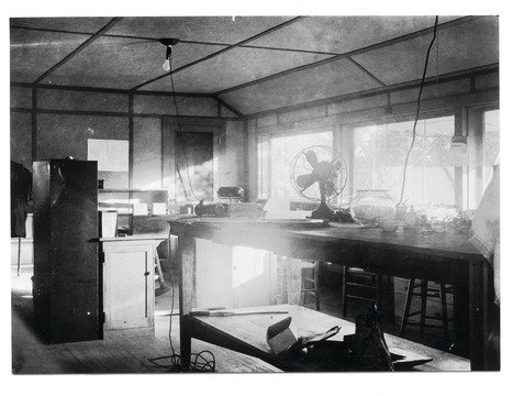 Mark Dion discusses his re-creation of botanist David Fairchild's Coconut Grove laboratory with <a href="/TheArtNewspaper/">The Art Newspaper</a> a21.tv/2h0xSNC