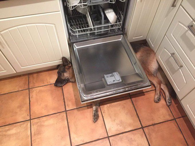 WSHHFANS's tweet photo. when ur friend doesn't give u a blanket before going to sleep https://t.co/fYOYY0Yho1