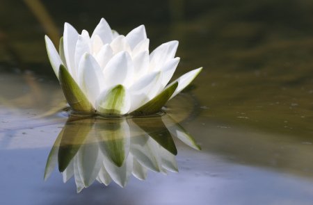 HealingByndBdr's tweet photo. LOOK! More Healing Touch classes for 2017! Here's your full class listing: https://t.co/2RNtgzaGe3, 'Find Healing Touch'. 2017 https://t.co/vcb9BLDBHE