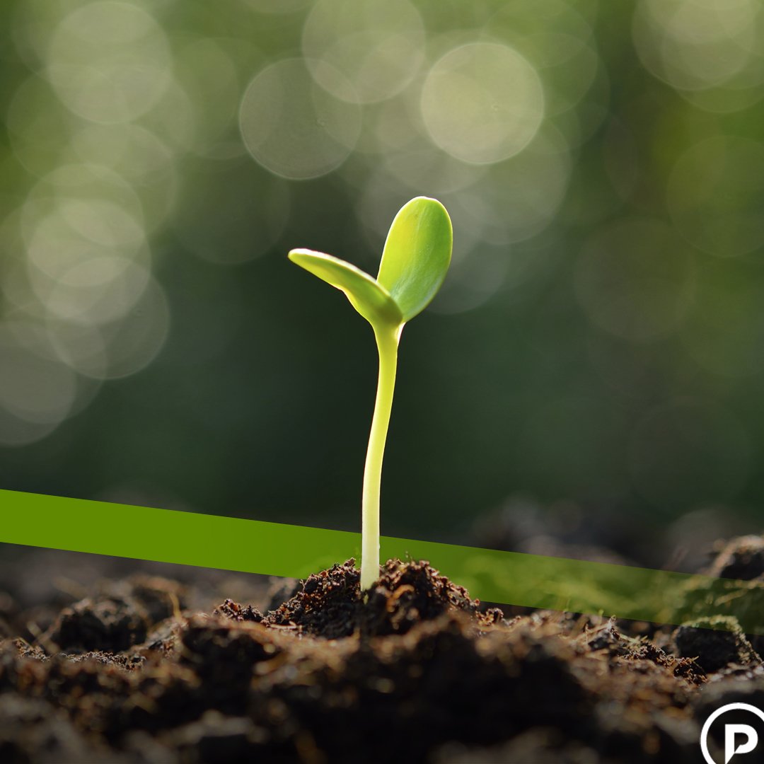 paradigmproject's tweet image. We partner with forward-thinking corporations to address Sustainable Development Goals.

theparadigmproject.org