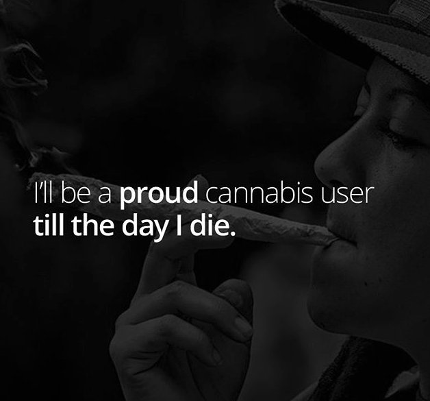 HeadShop Smokewire (@smokewire) on Twitter photo 