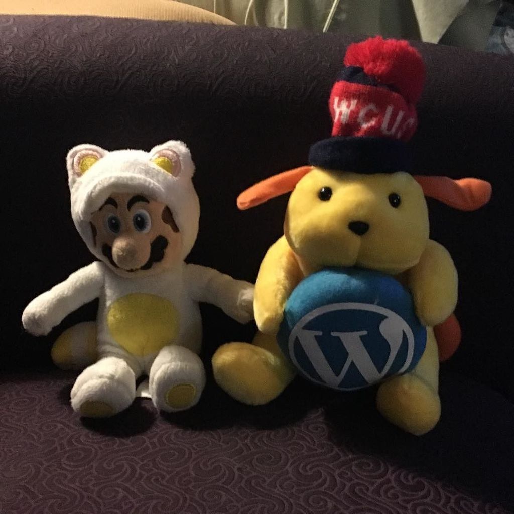 BTOTerri's tweet photo. Wapuu is hanging out with his new bestie, Tanooki Mario. #wcus #wapuu https://t.co/pPLxJ7Cj3g https://t.co/UuPewAIxY8