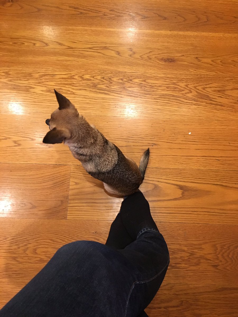 ImThomasGibson's tweet photo. https://t.co/NStlEXKkyU