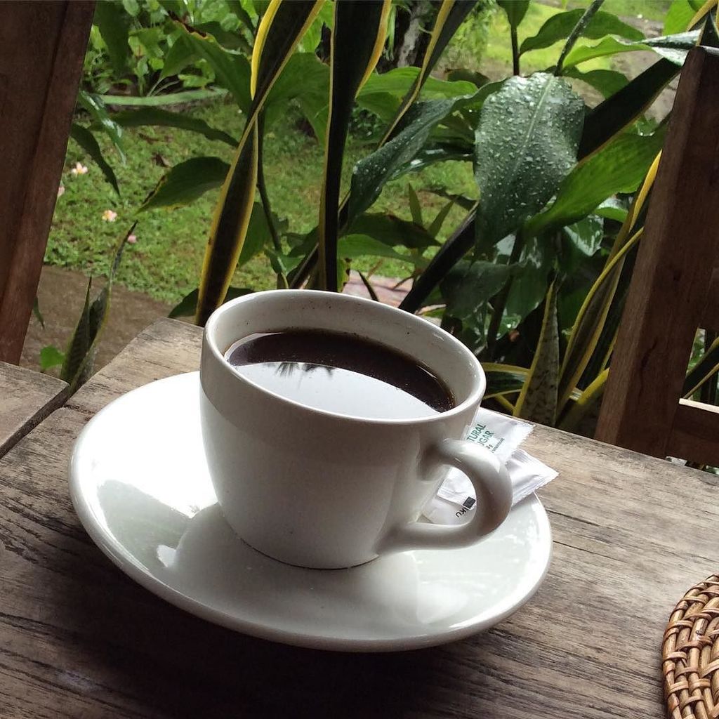 DanielleEvents's tweet photo. #CoffeeAndAView ☕️🎑 #RainyMorning ☔️ #GoodMorningWorld #Bali #Indonesia #TravelCoffee https://t.co/lX6QfZNeHz https://t.co/EImV0V6Mw2