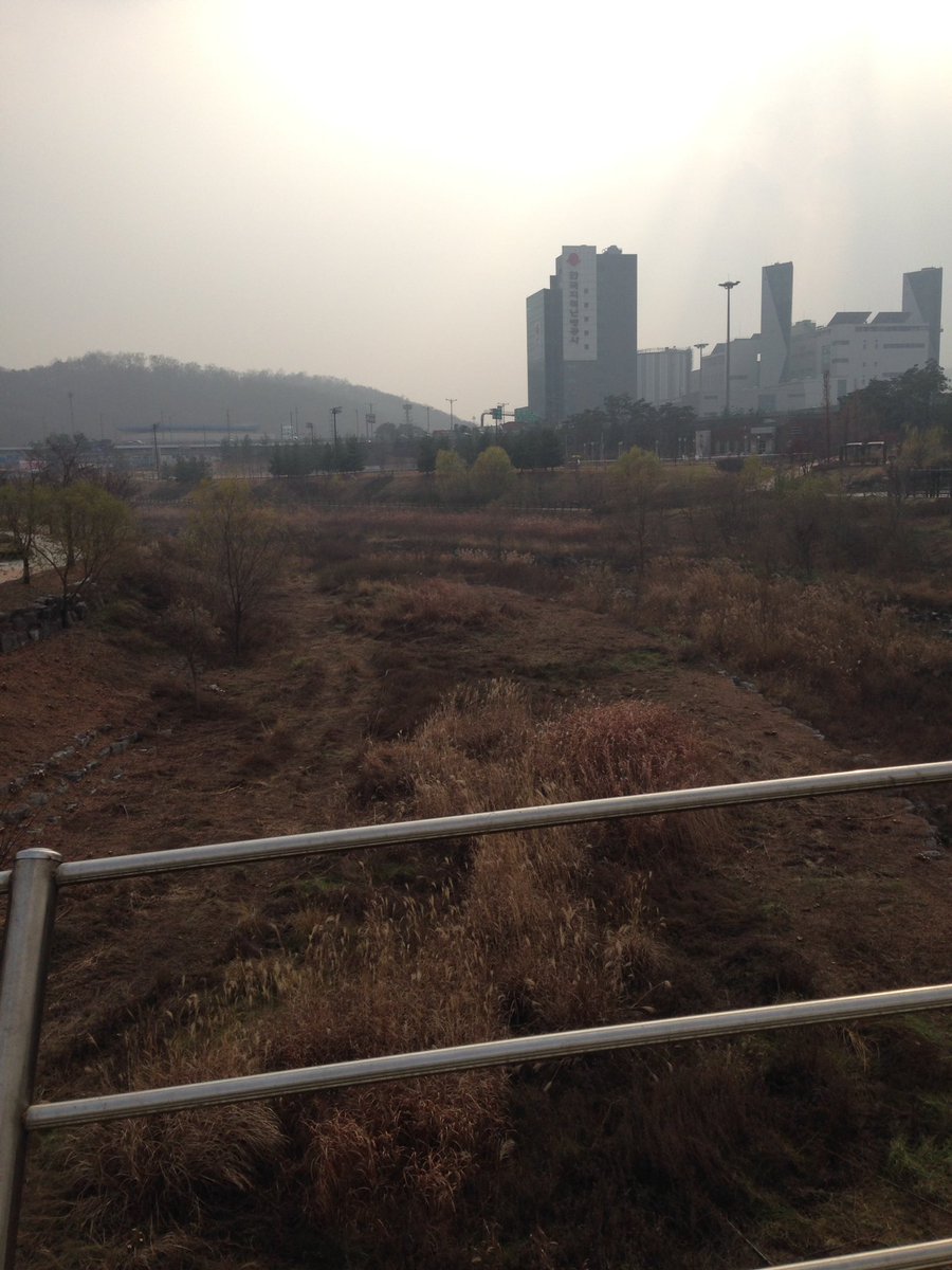 #성남시. 운중천(7km).아카시나무 일제제거함(2개월소요), 수해발생을 유발하고 수변경관저해와 보행불편을 초래했던 무성하게 즐비한 아카시나무를 한그루 남김없이 제거하였습니다.