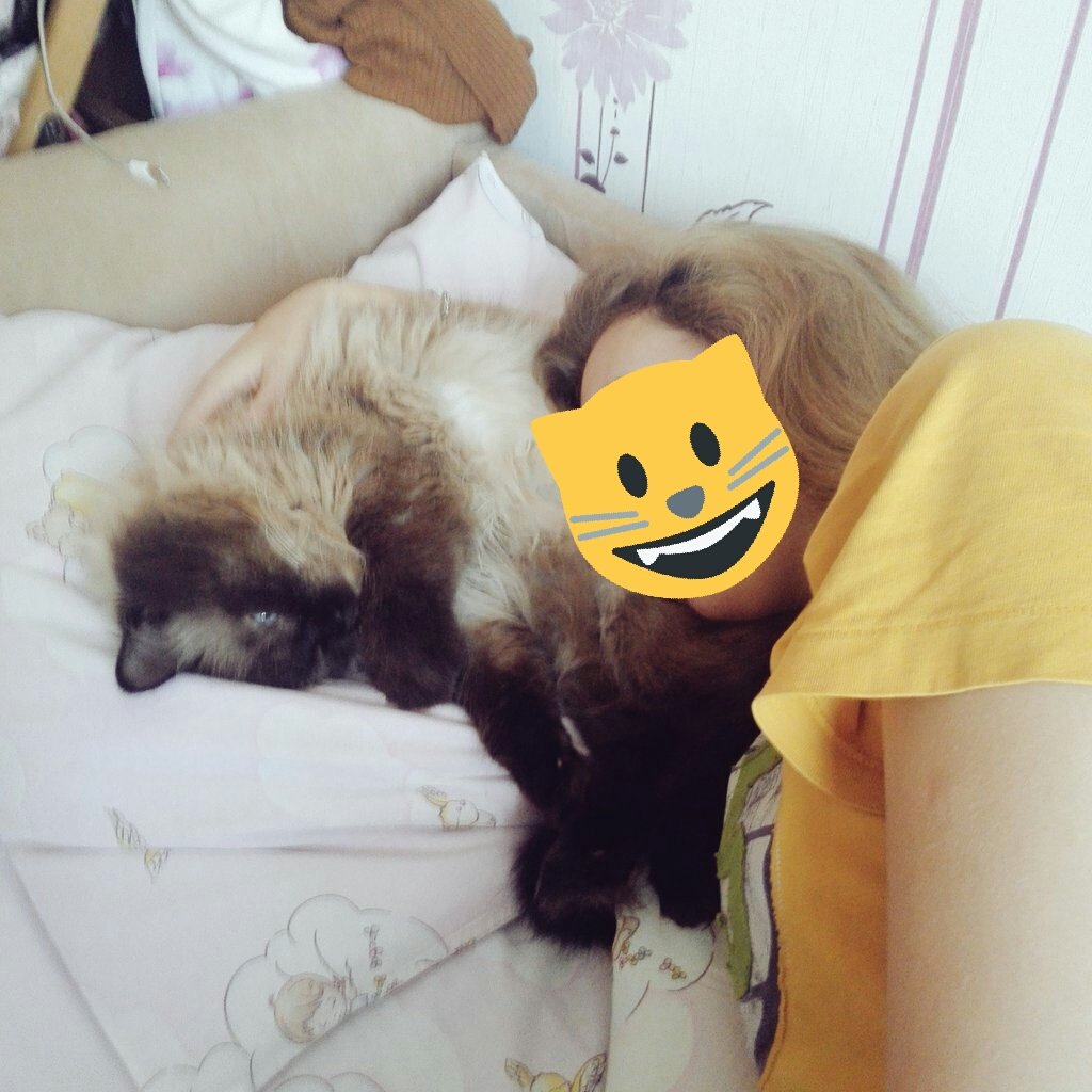 AnasteishaB's tweet photo. 13 лет 🐱💗 https://t.co/X0rpLOP4lC