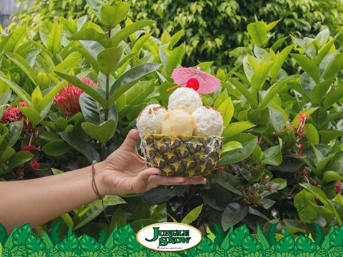 JungleSnowESA's tweet photo. Un regalo tropical en nuestra exótica navidad. ¡Ven por tu Jungle Piña Colada! https://t.co/JmXaF7NNT6