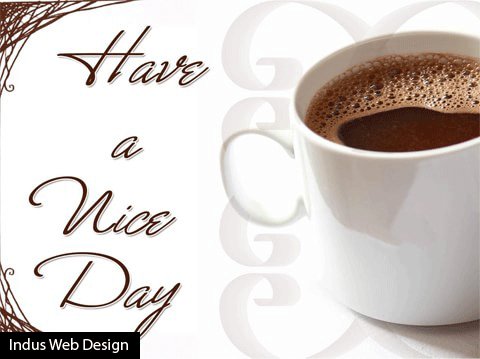 IndusWebDesign_ tweet picture