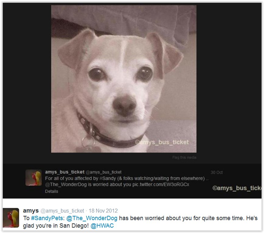 The_WonderDog's tweet photo. https://t.co/9IkNnMVdTZ