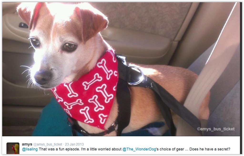 The_WonderDog's tweet photo. https://t.co/Wwxxwcmkhx