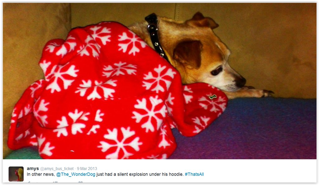 The_WonderDog's tweet photo. https://t.co/Wwxxwcmkhx