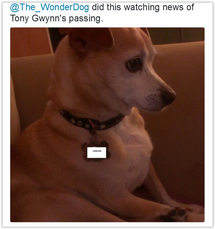 The_WonderDog's tweet photo. https://t.co/oN1MCytrqW