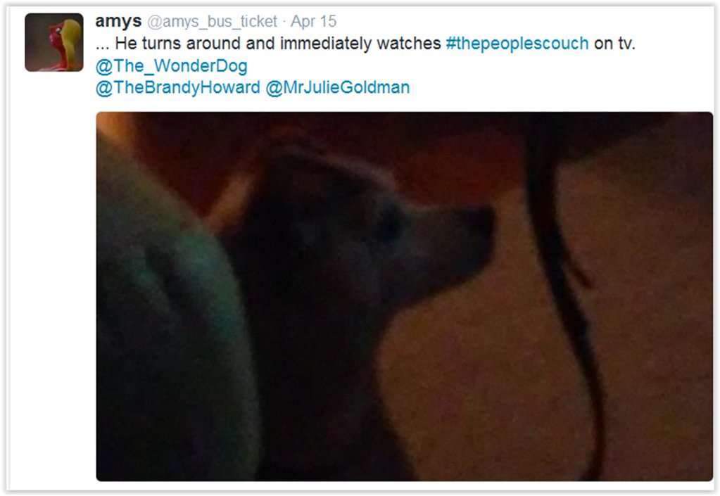 The_WonderDog's tweet photo. https://t.co/QCe4wdtg18