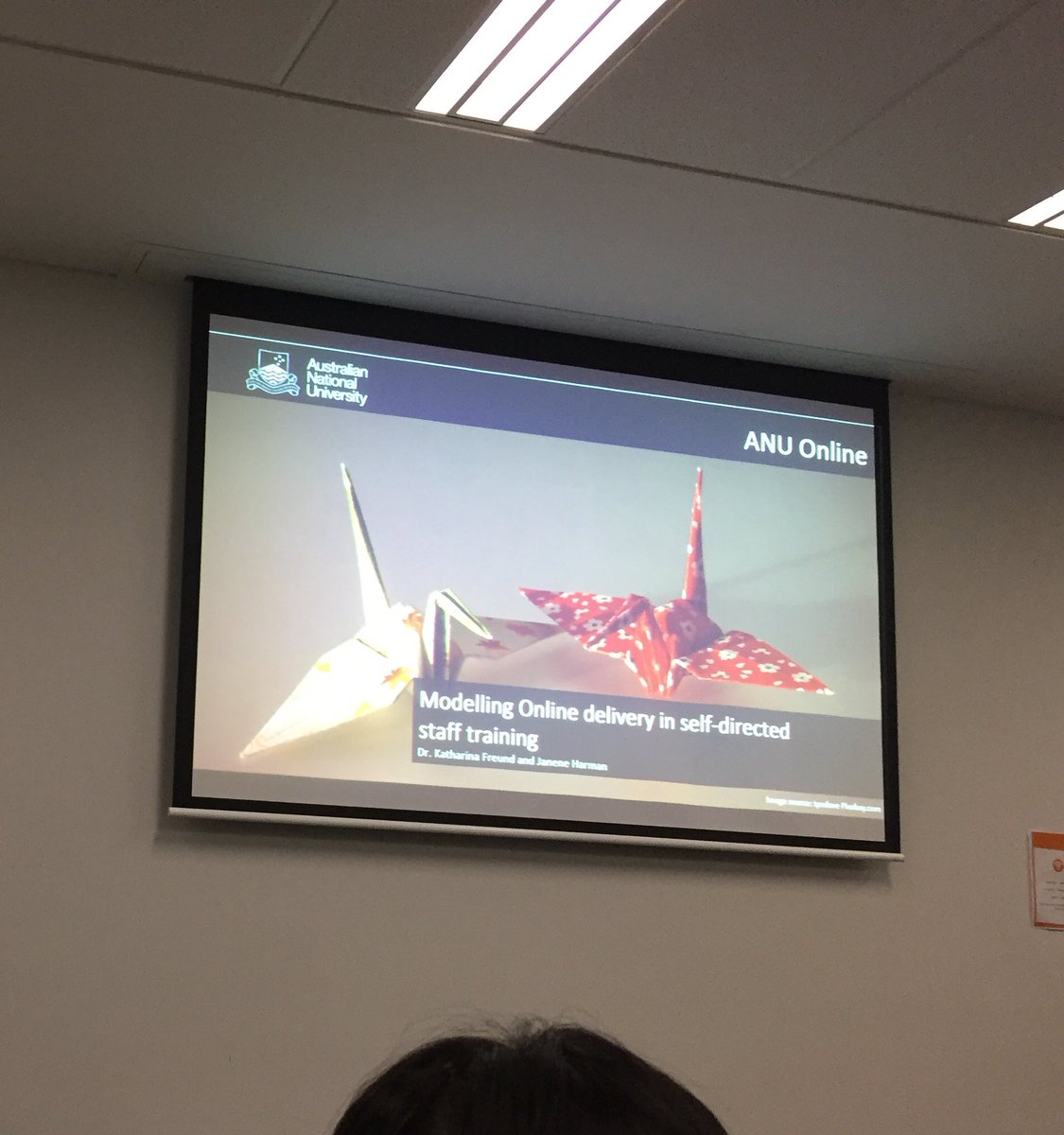 Penny Wheeler tweet media