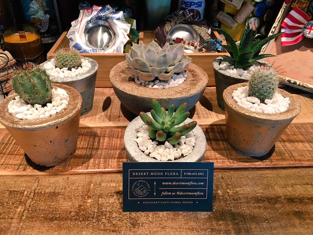LokalMiami's tweet photo. Looking for unique holiday gift ideas?🎅🏼🎄Look to our little grocery for some truly local swag! #soycandles #succulents #cacti #mightywallets https://t.co/RJ1q39ey2q