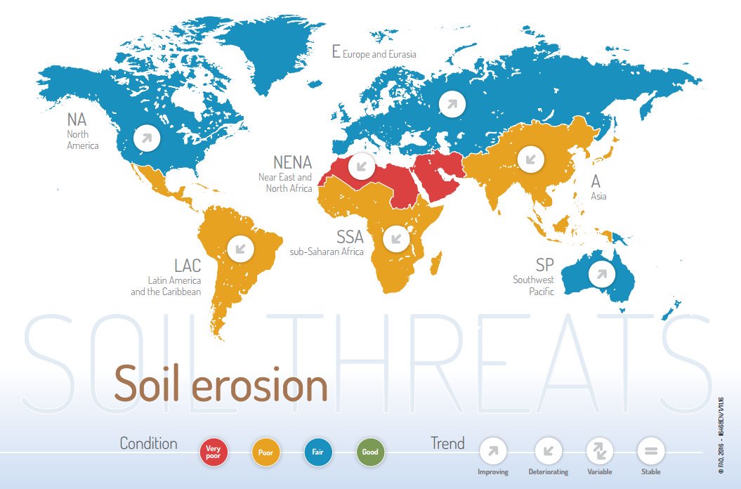 Food and Agriculture Organization tweet media