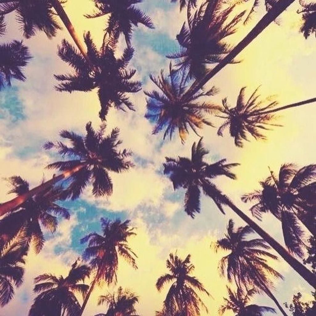BikiniSlayer's tweet photo. Palms for dayzzzzzz 🌴💙 #bikinislayerlife #mermaidlife #mermaid #bikinislayerbabe #bikinisl… https://t.co/uJAaehg8of https://t.co/bHOVZPNXYO