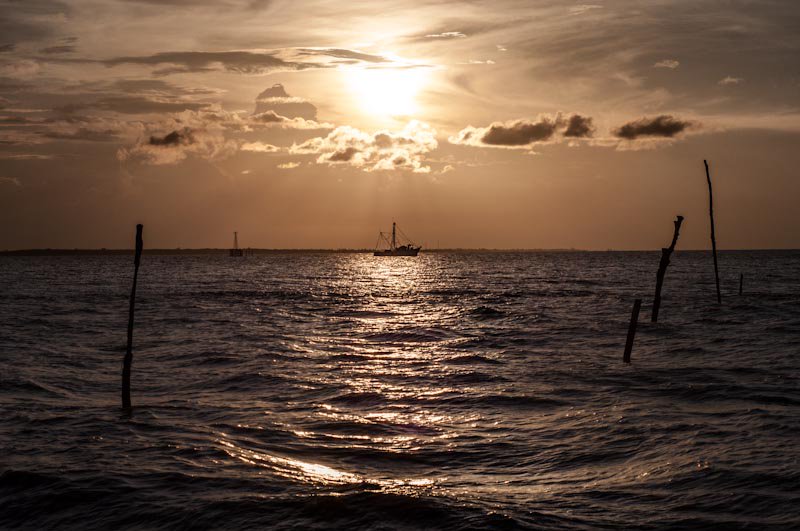 fidal bassier tweet media