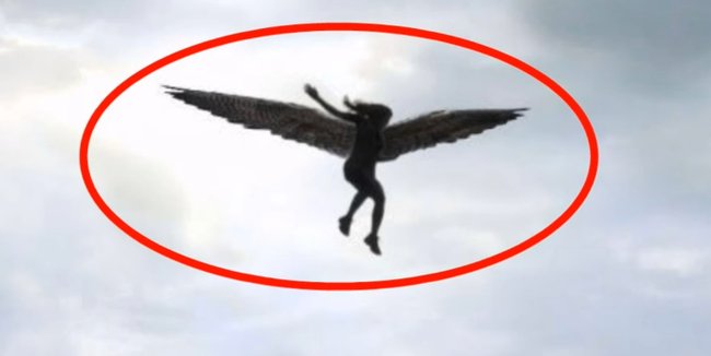 News Clicker Twitterren 天使 は本当に実在した 相次ぐ天使目撃情報 実際に撮影されたらしい写真6枚 動画あり T Co Mnv856hgyz 天使 実在 疑わしい 写真 幽霊 羽根 目撃 撮影 不思議 神聖