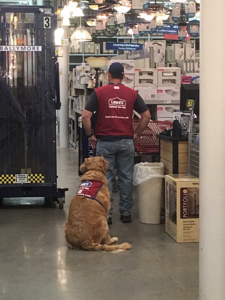 YoungCons's tweet photo. This veteran needed a job but was having a tough time because his dog needed to be with him, so Lowe's hired both of them. #Respect https://t.co/lTzPod2Xdy